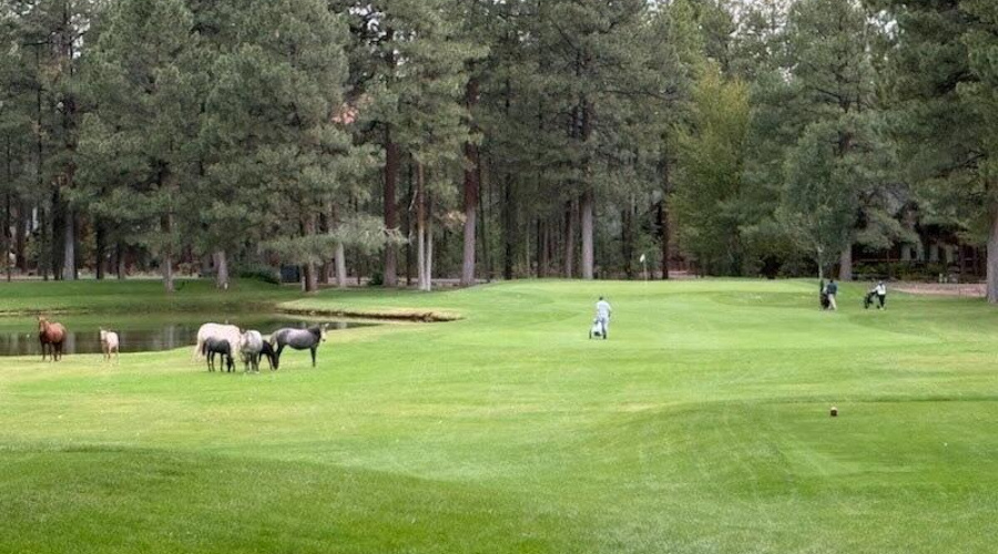 golf
