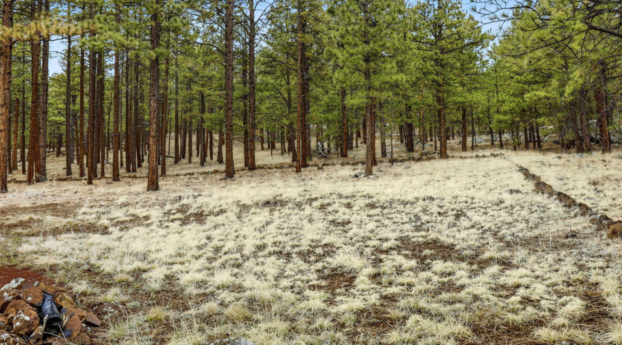 19CountyRdN1044-Greer-AZ-22