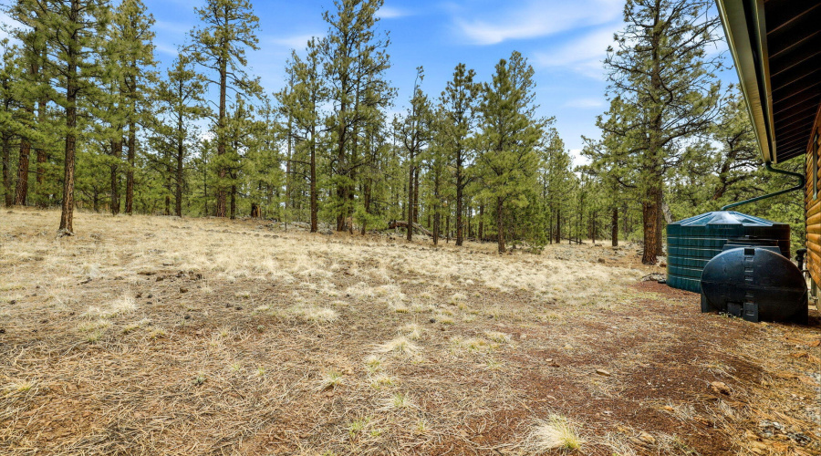 19CountyRdN1044-Greer-AZ-24