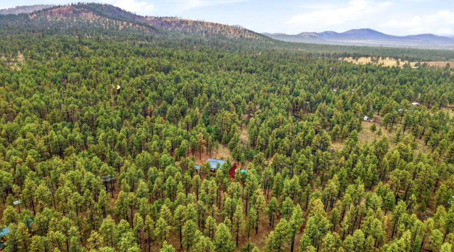 19CountyRdN1044-Greer-AZ-29