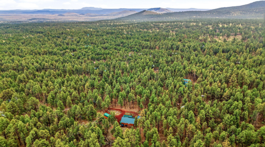 19CountyRdN1044-Greer-AZ-33