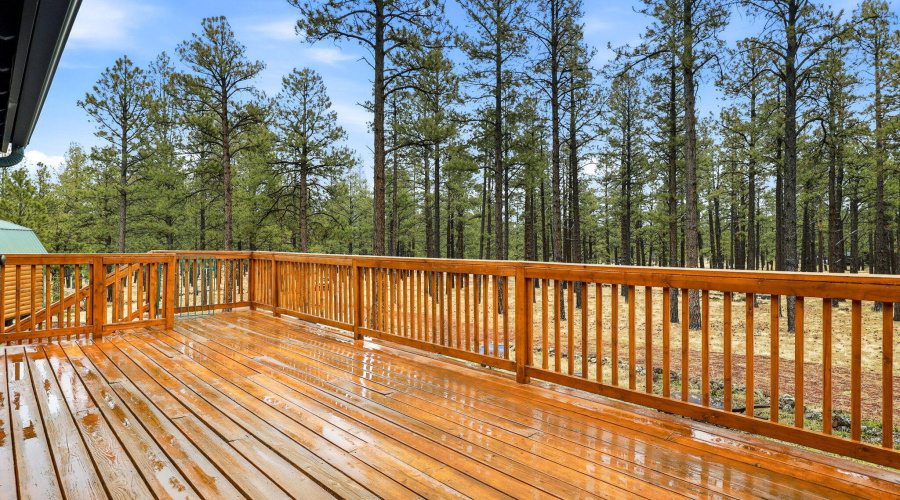19CountyRdN1044-Greer-AZ-5