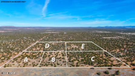 9023 Appaloosa Trail Lot D 10 Acres, Show Low, Arizona 85901, ,Land,For Sale,Appaloosa Trail Lot D 10 Acres,260459