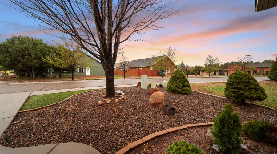 FRONT YARD