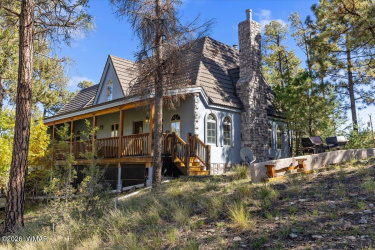 12 County Rd 2074, Alpine, Arizona 85920, Bedrooms, ,Bathrooms,Residential,For Sale,County Rd 2074,260454