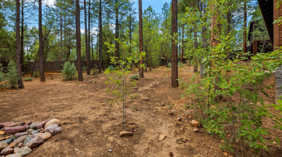 Treed Lot