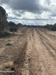 3A N8716, Concho, Arizona 85924, ,Land,For Sale,N8716,259917
