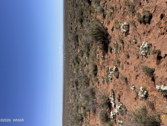 5647 Kohl Road, Snowflake, Arizona 85937, ,Land,For Sale,Kohl,260486