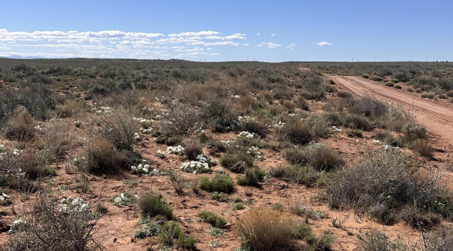 Road coming in to property