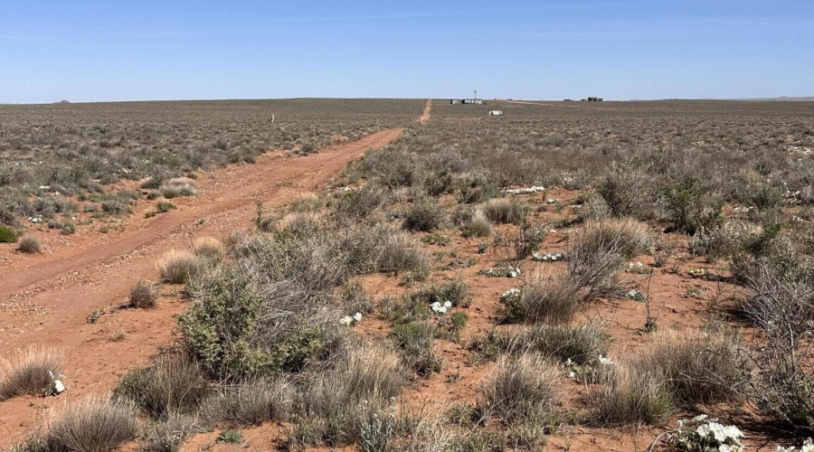 Road going up beyond the property