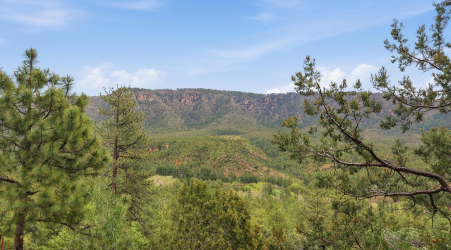 mls-Canyon_Vista_010