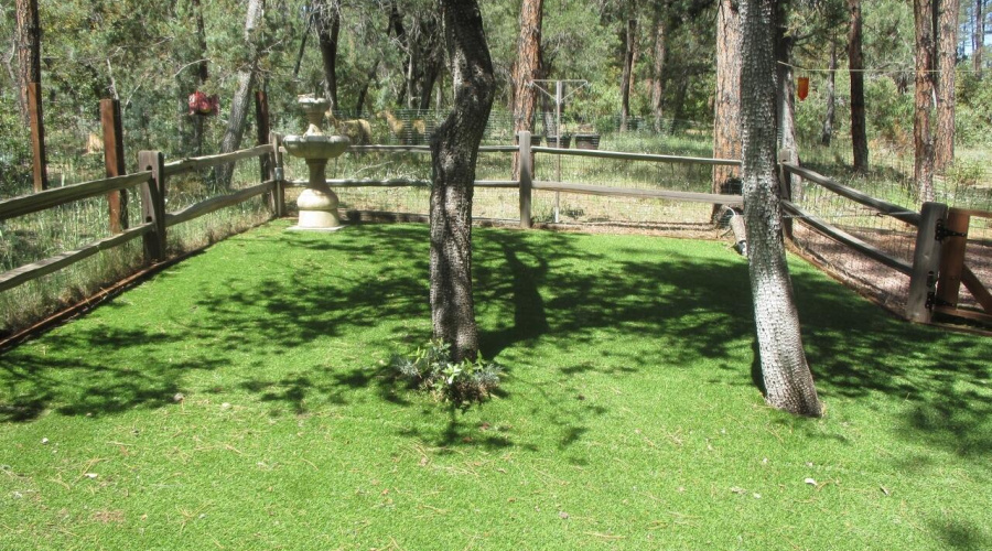 Photo 18