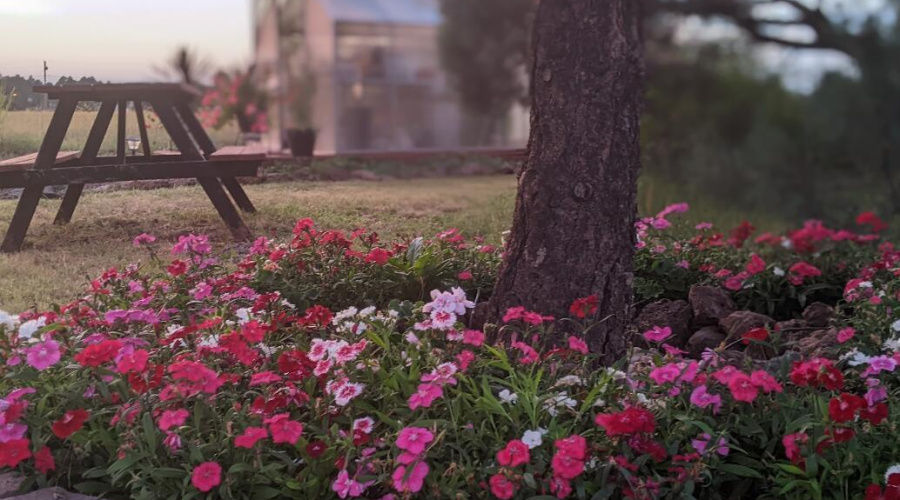 Flower bed