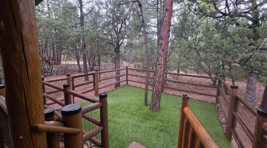 Dog Run