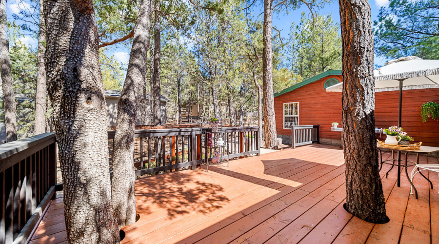 Back Deck