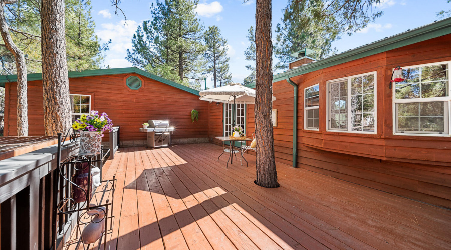 Back Deck
