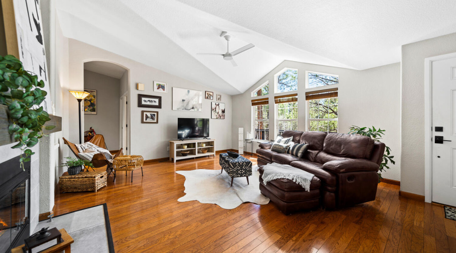 Large Sunny Windows