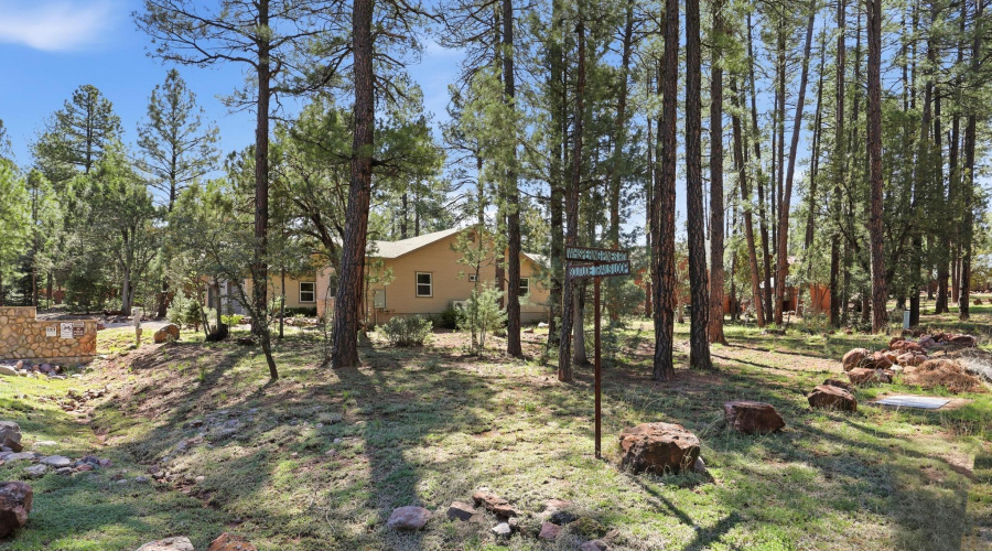 Side Yard