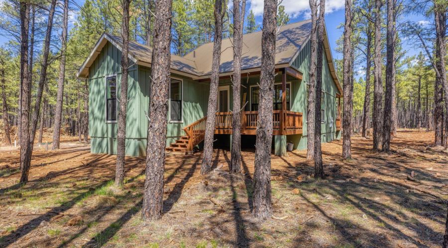 Back Deck