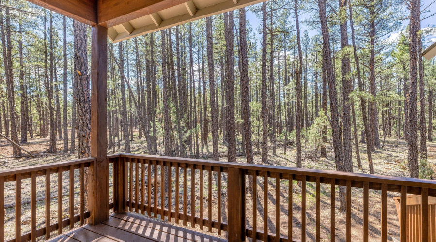 913 Birdsong Way, Lakeside, AZ 85929