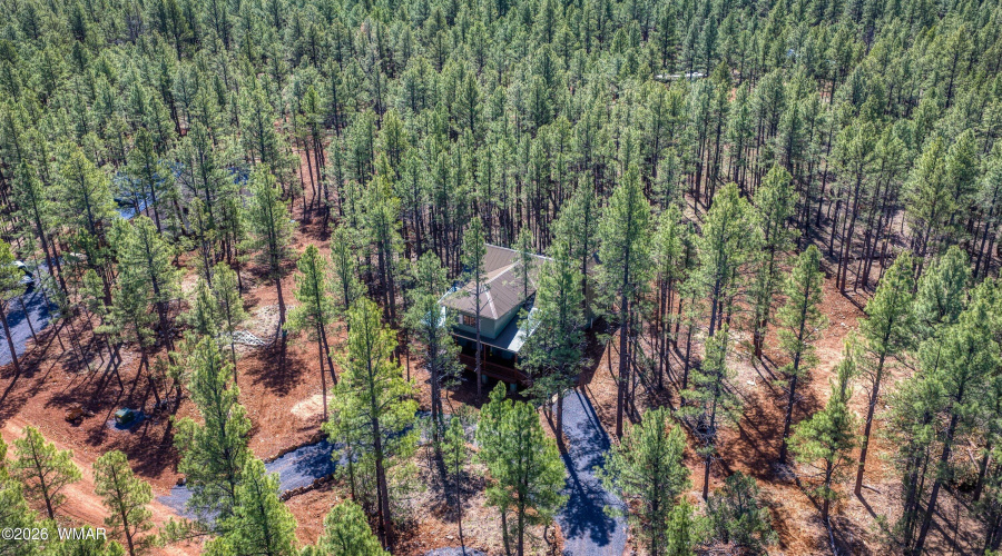 913 Birdsong Way, Lakeside, AZ 85929