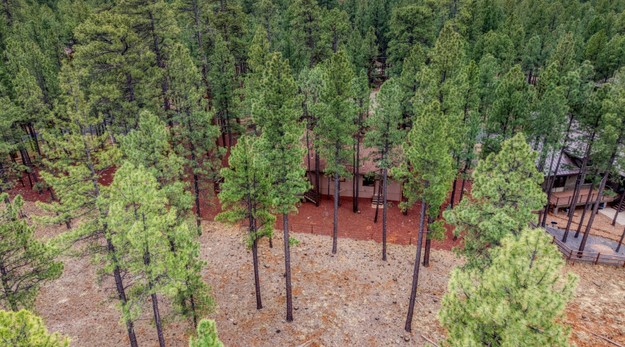 PaxmanPh_dji_fly_20260406_112910_0721_17