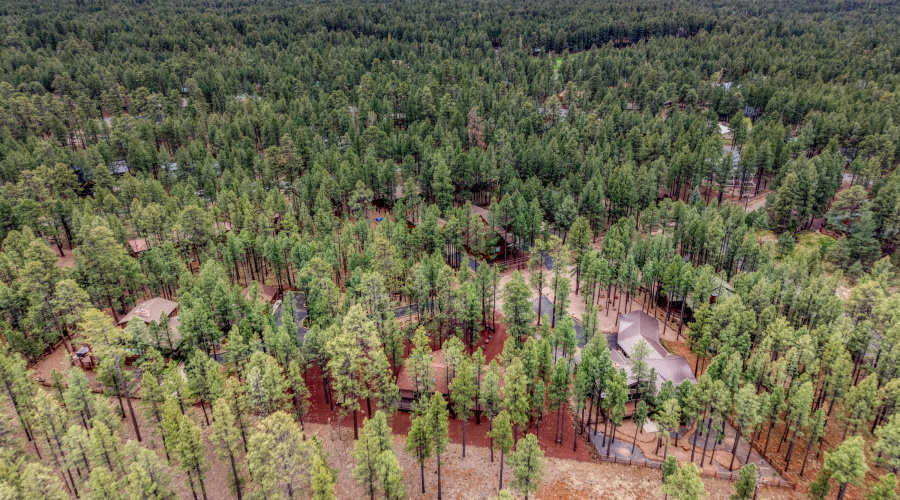 PaxmanPh_dji_fly_20260406_112846_0714_17