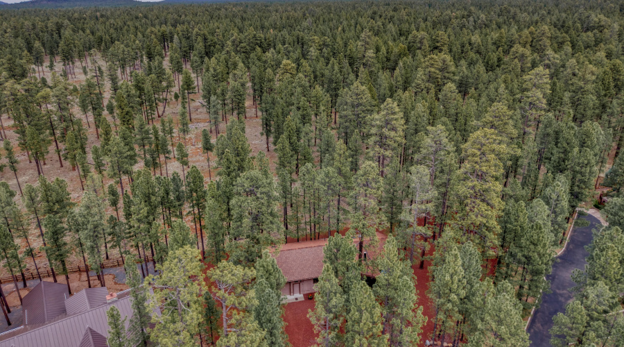 dji_fly_20260406_112804_0697_17755772964