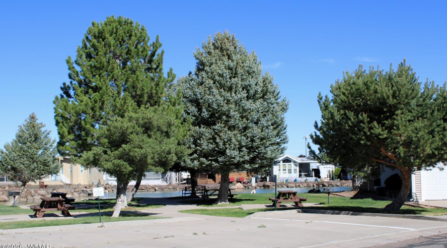 8276 Lake Shore Drive, Show Low, AZ