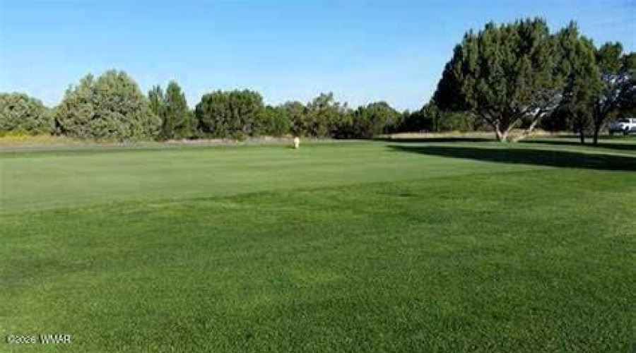 8276 Lake Shore Drive, Show Low, AZ