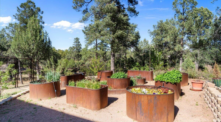Permaculture Garden