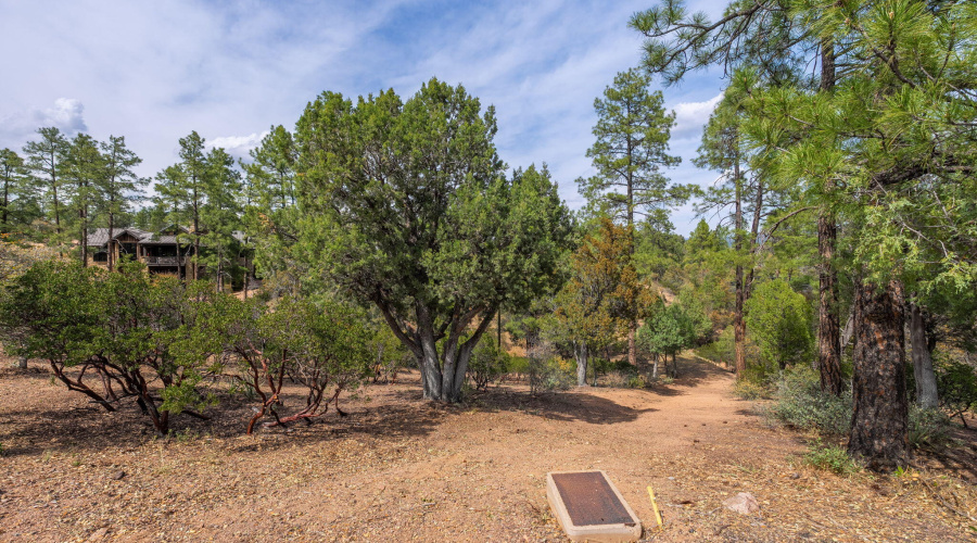 3008 E Arrow Point - 04