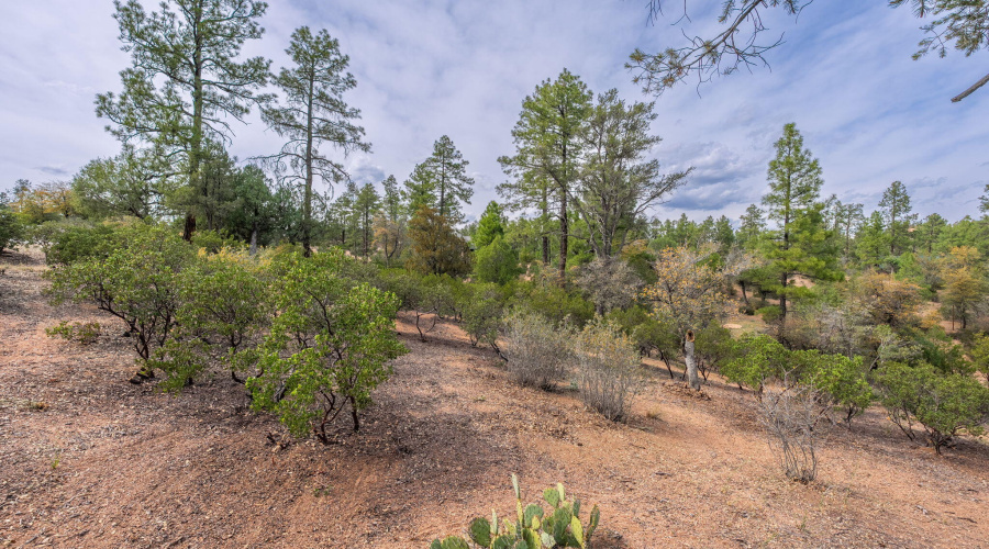3008 E Arrow Point - 06