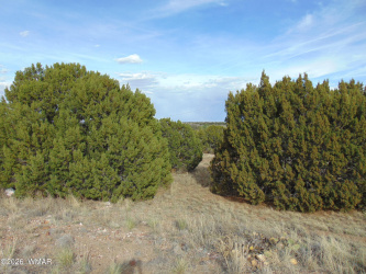 46 Crest Lane, Concho, Arizona 85924, ,Land,For Sale,Crest,260532