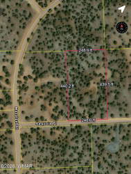 8640 Sequoia Place, Show Low, Arizona 85901, ,Land,For Sale,Sequoia,260529