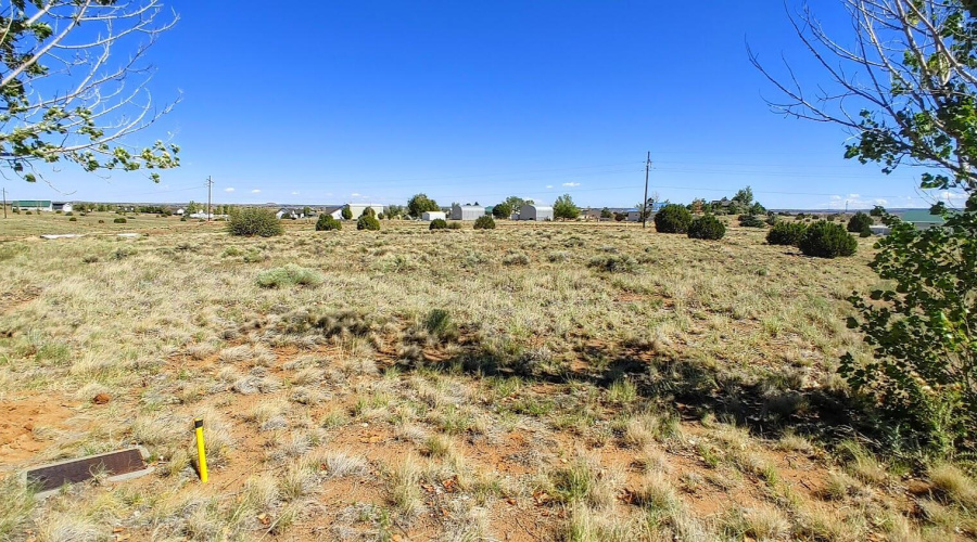 Lot 68
