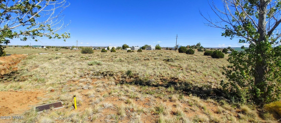 1190 Haystack Road, Taylor, Arizona 85939, ,Land,For Sale,Haystack,260519