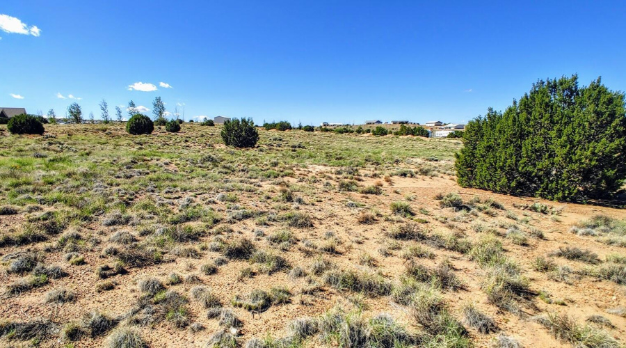 Lot 68