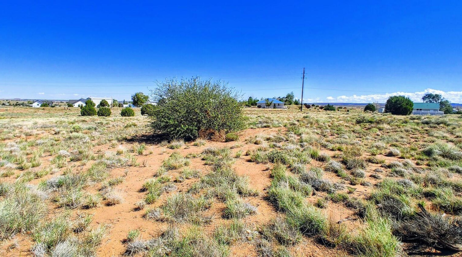 Lot 68
