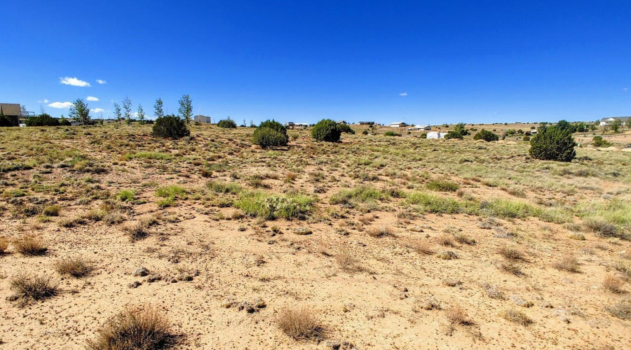 Lot 68