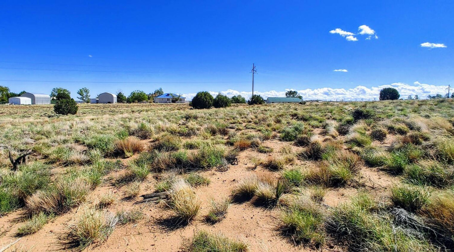 Lot 68