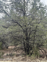 33 N3317, Vernon, Arizona 85940, ,Land,For Sale,N3317,260536