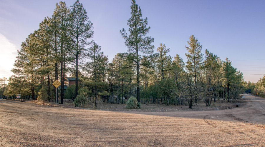 Mature Trees