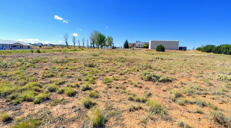 Lot 9