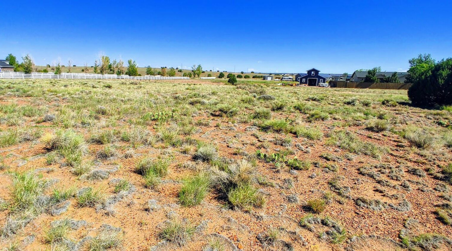 Lot 9
