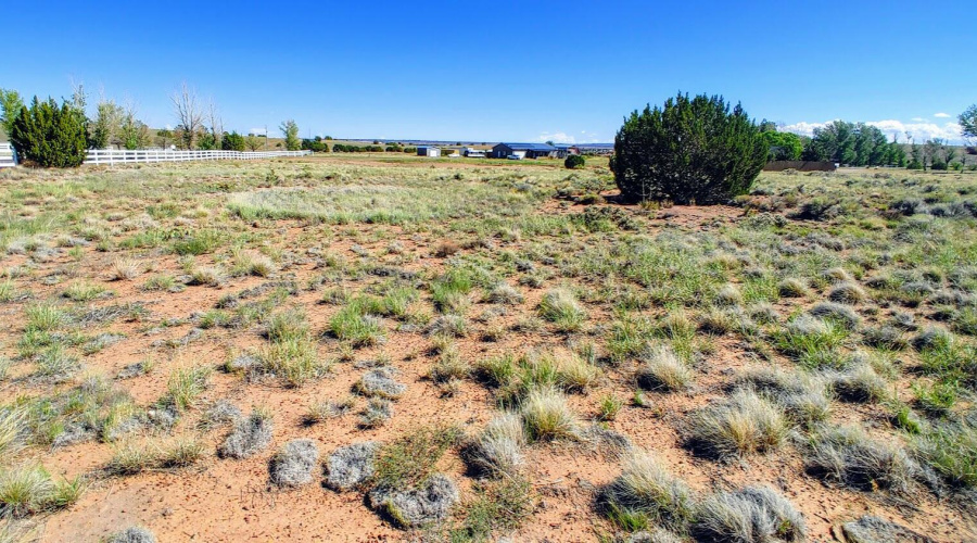 Lot 9