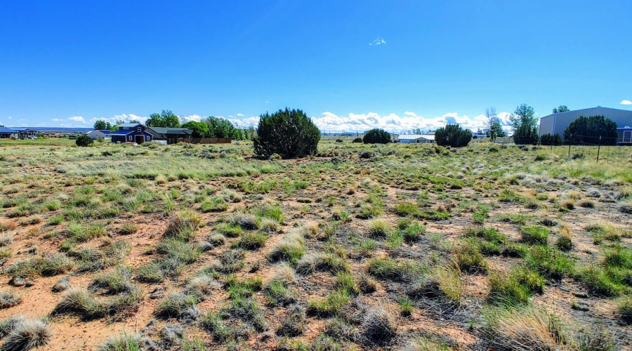 Lot 9