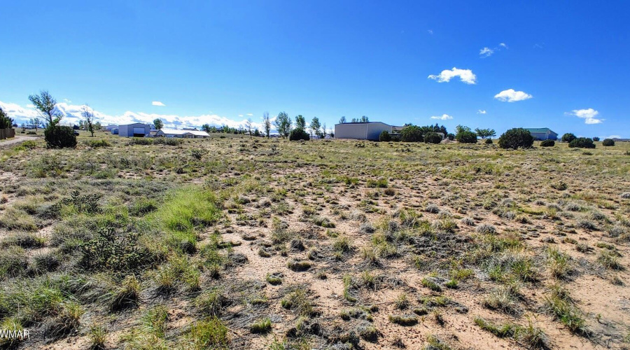 Lot 9