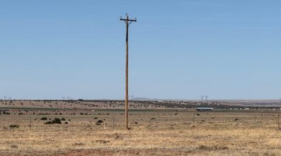 IMG_6626