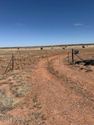 1045 County Road 5020, Concho, Arizona 85924, ,Land,For Sale,County Road 5020,260253